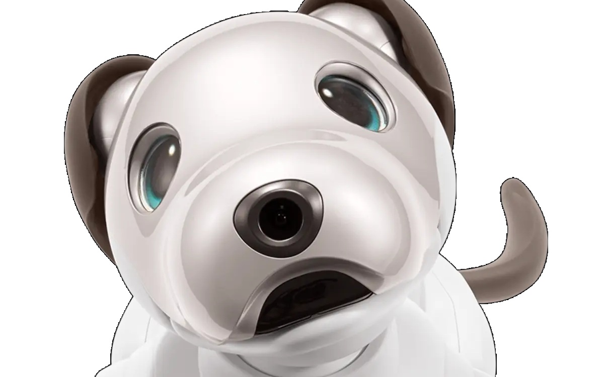 Aibo tire sa révérence : Sony met fin à son chien-robot légendaire
